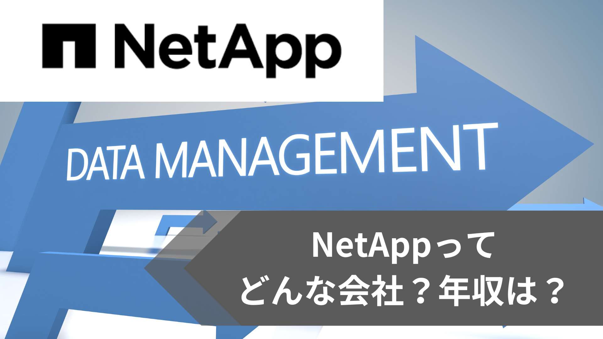 NetApp年収